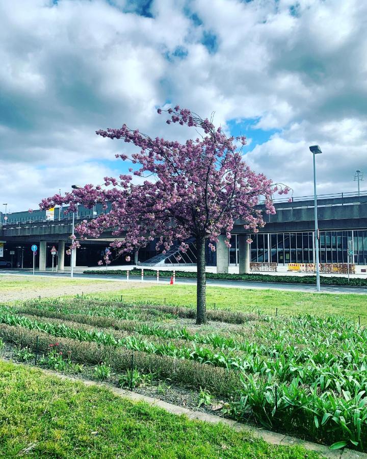Maritim Airport Hotel Hannover Langenhagen  Exterior photo